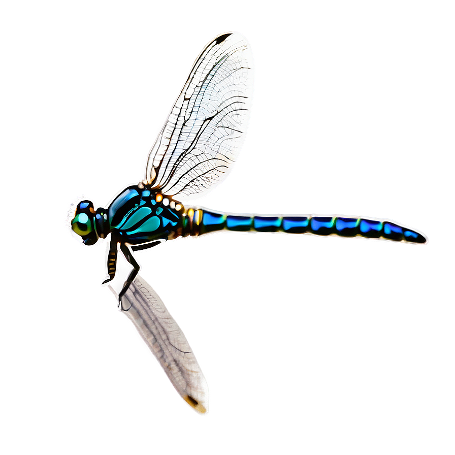 Elegant Dragonfly Png Ggs