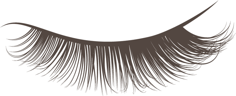 Elegant Eyelash Illustration.png