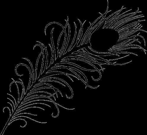 Peacock Feather Clipart Png Black And White - Peacock Feather Black And White, Transparent Png PNG with transparent background