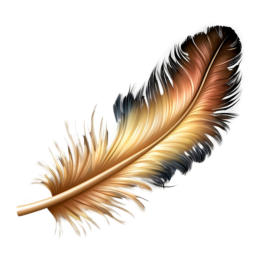 Elegant Feather Illustration Png Ofg