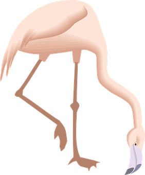 Elegant Flamingo Graphic PNG with transparent background