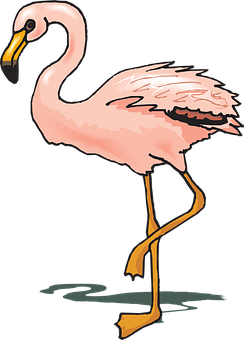 Elegant Flamingo Illustration