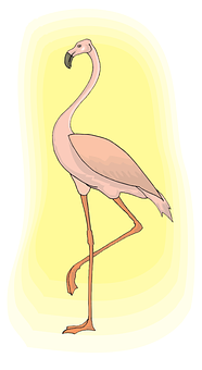 Elegant Flamingo Standing PNG with transparent background