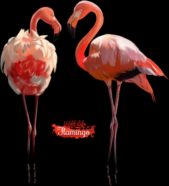 Elegant Flamingos Watercolor Art