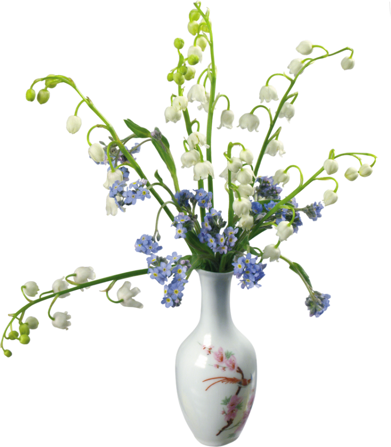 Vase Png Image - Png Transparent Background Flower Vase Png, Png Download PNG with transparent background