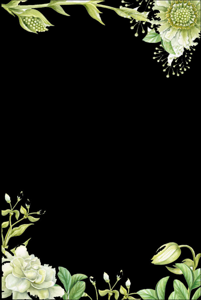 Elegant Floral Black Background