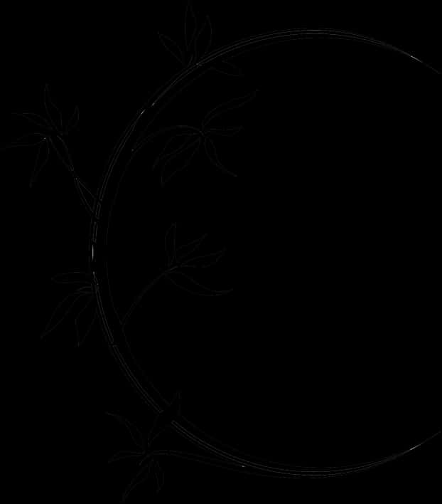 Elegant Floral Decorative Frame PNG image with a transparent background, free high-resolution download