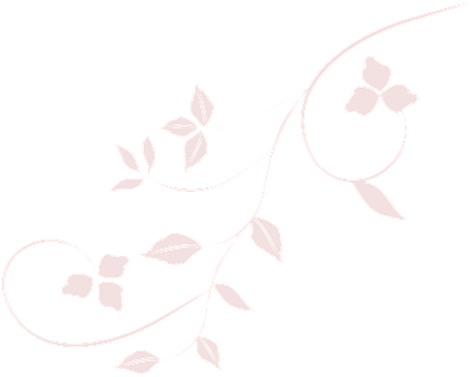 Elegant Floral Designon Black PNG with transparent background