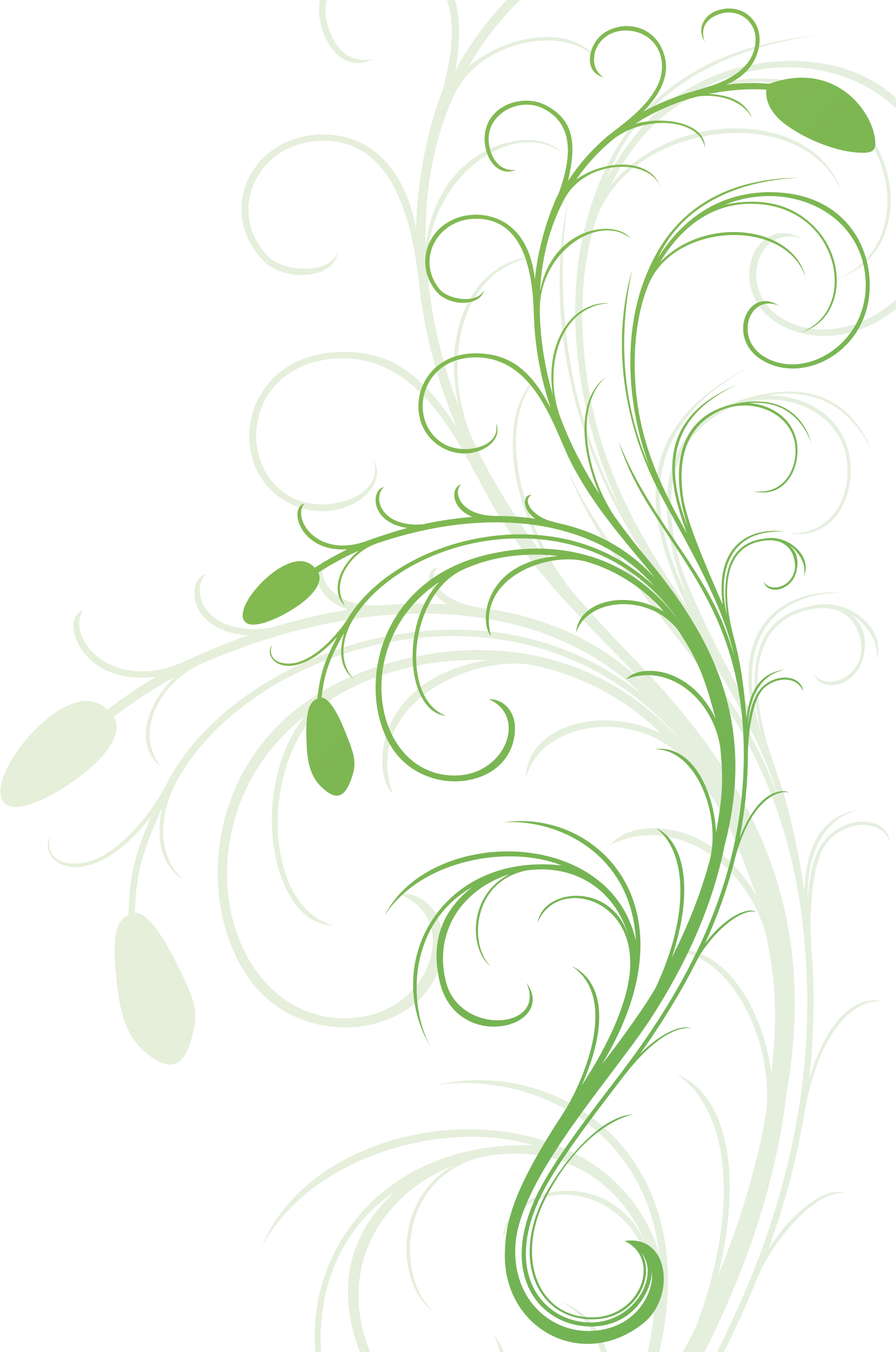 Elegant Floral Vine Design