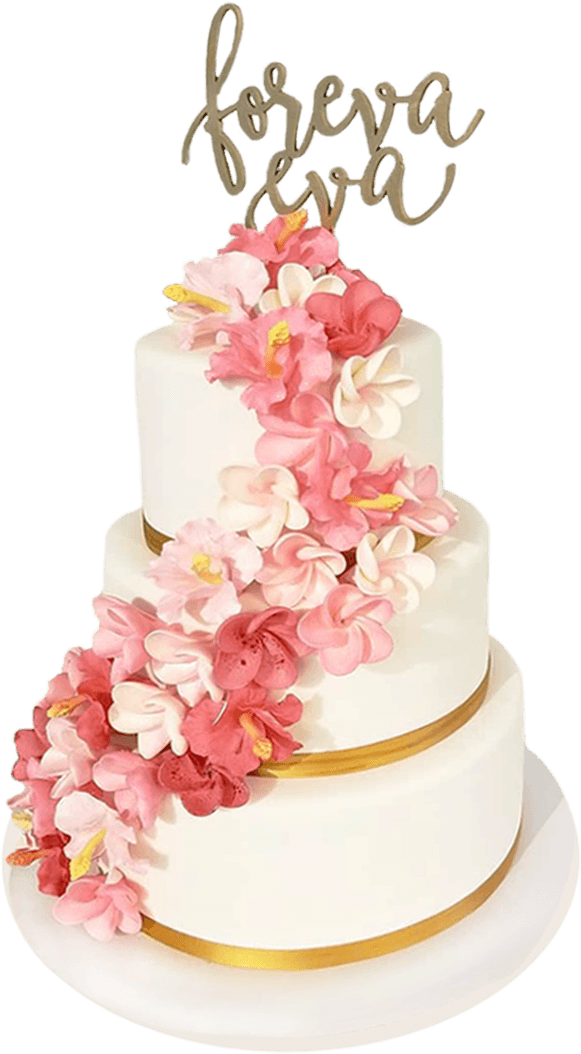Fake Cake Hawaii, HD Png Download PNG with transparent background