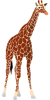 Elegant Giraffe Standing Vector PNG with transparent background