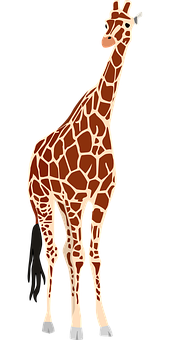 Elegant Giraffe Standing Vector PNG with transparent background