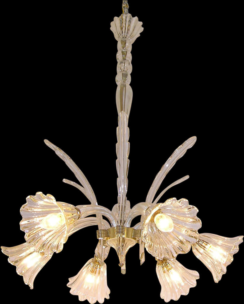 Elegant Glass Chandelier Illuminated PNG with transparent background