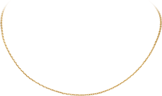 Elegant Gold Chain Necklace