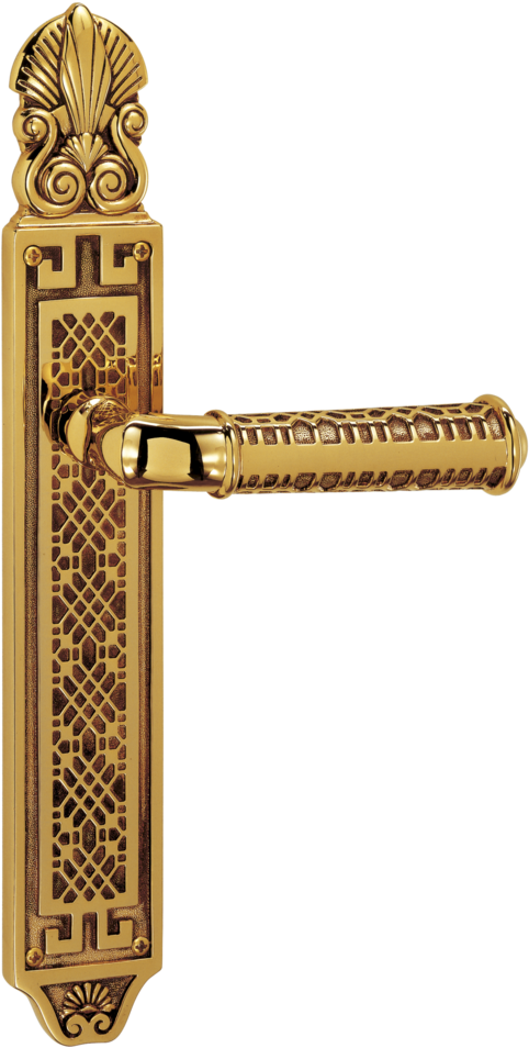 Elegant Gold Door Handle