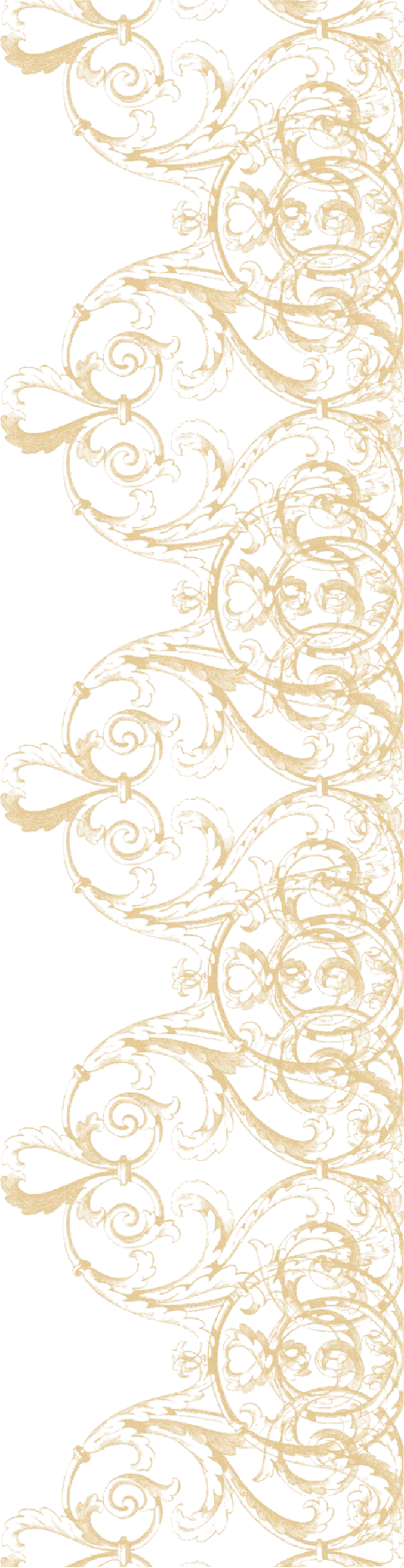 Elegant_ Golden_ Scrollwork_ Border