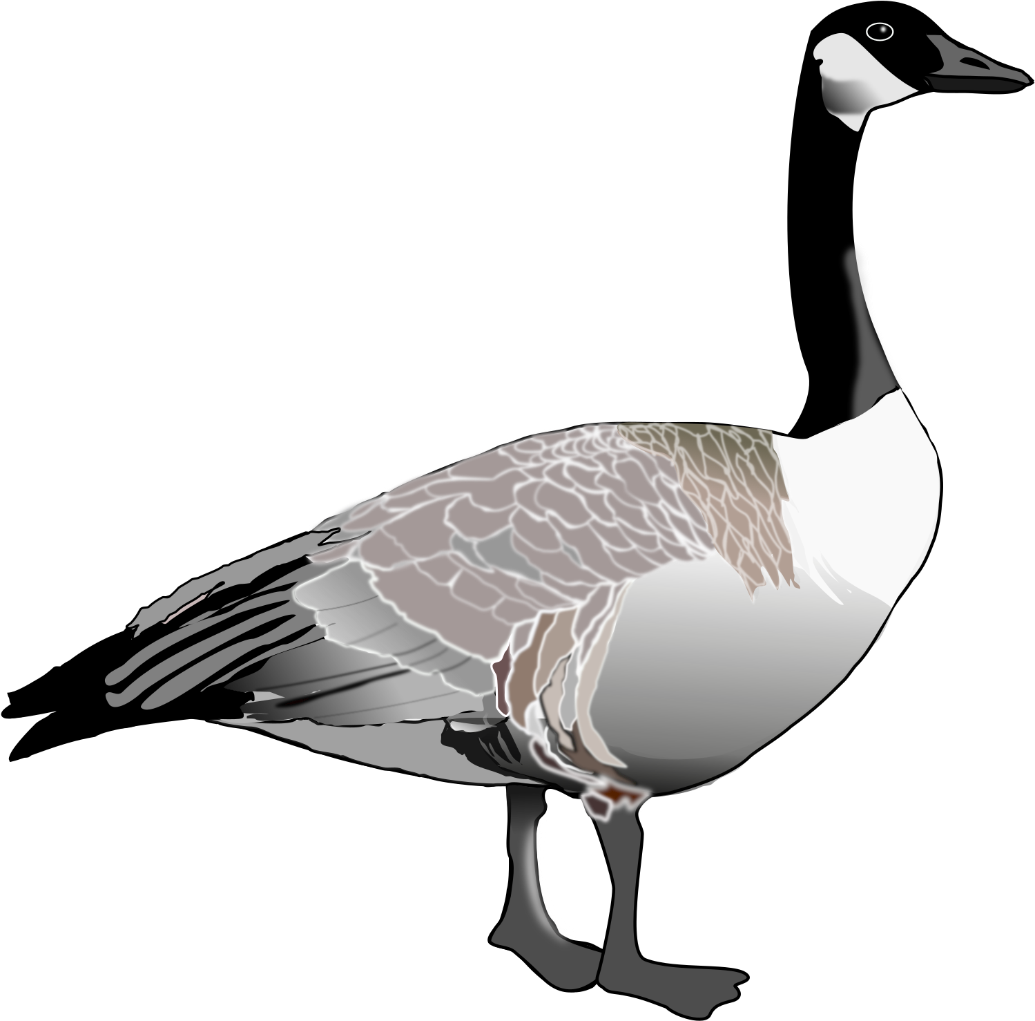 Elegant Goose Illustration