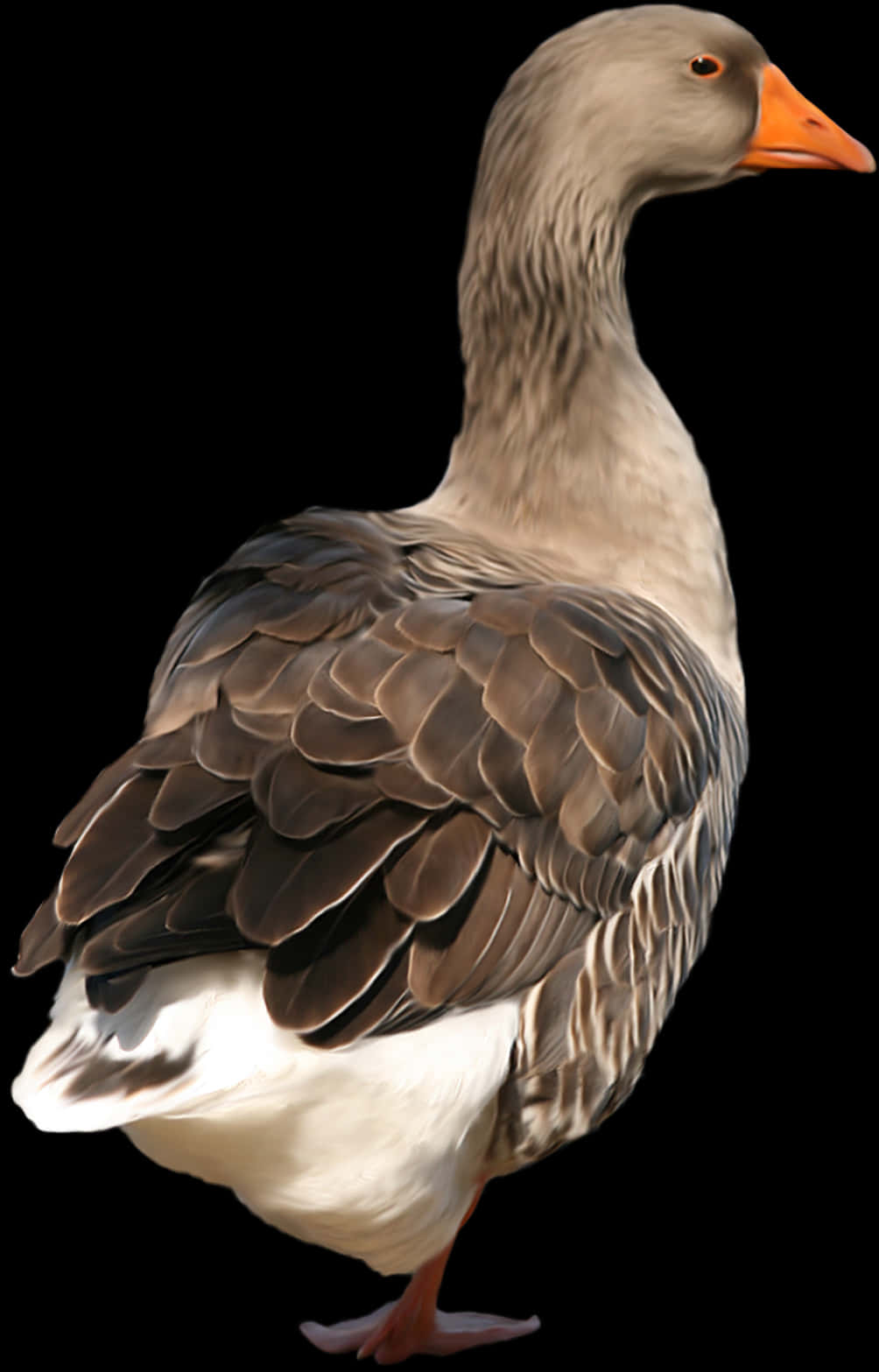 Elegant Grey Goose Portrait PNG with transparent background