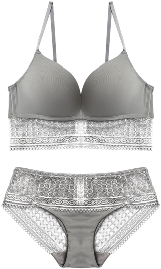 Elegant Grey Lace Lingerie Set