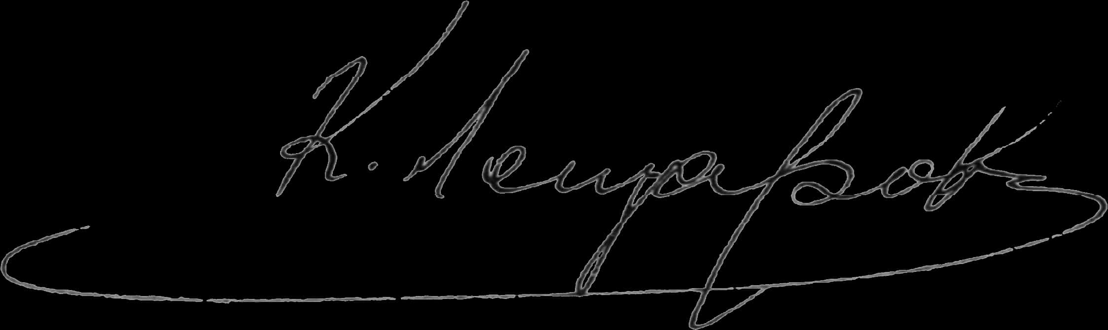 Elegant Handwritten Signature