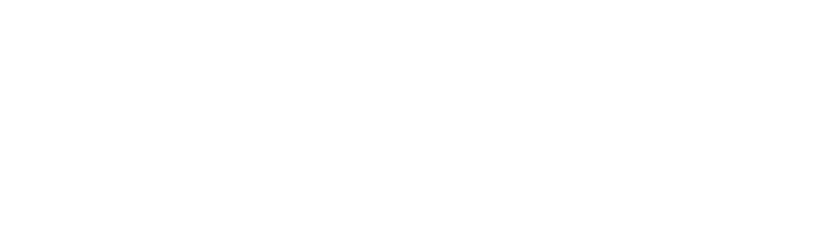 Elegant Horse Logo Design