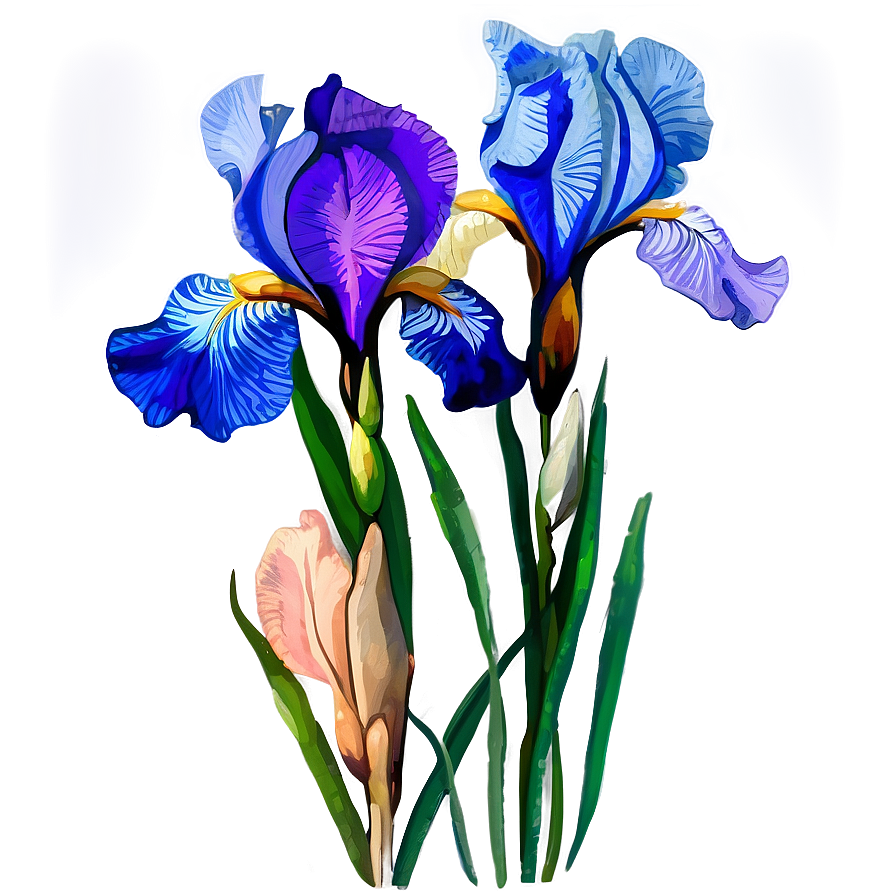 Elegant Iris Watercolor Png 06272024