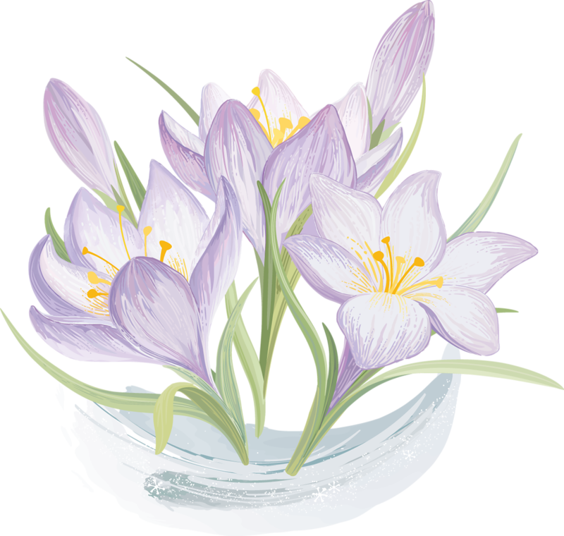 Elegant Lavender Floral Vector