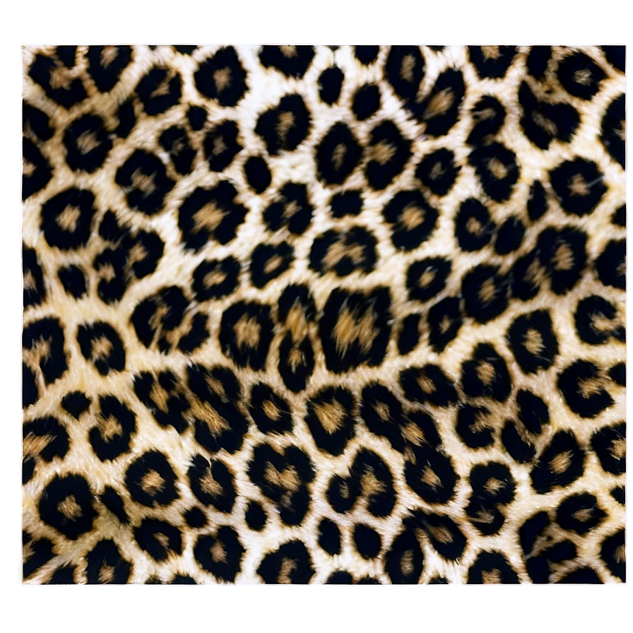 Elegant Leopard Print Png Sgl68