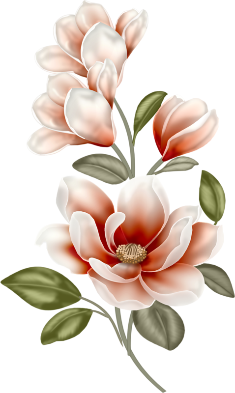 Magnolias, Çizimler, Stickers, Boya Kalemi, Kumaşlar, - Watercolor Magnolia Clipart Free, HD Png Download PNG with transparent background