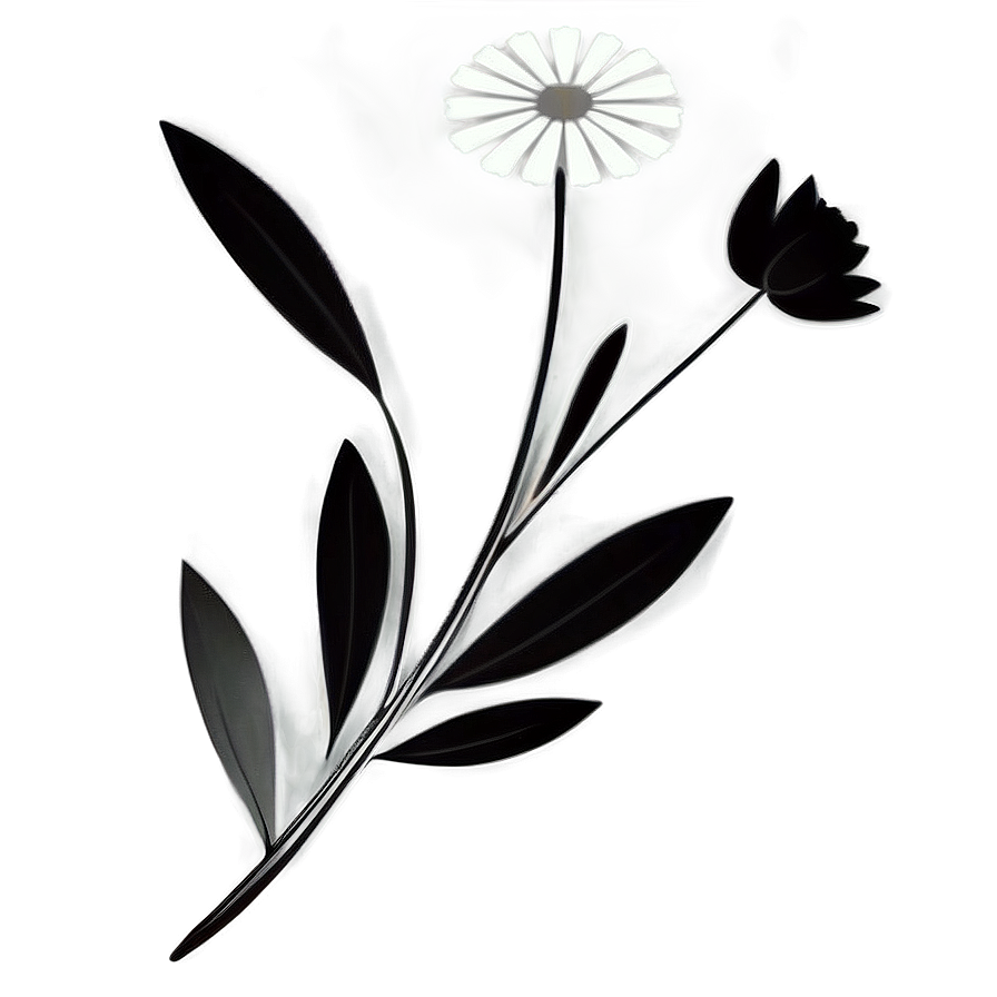 Elegant Monochrome Flowers Png 06282024