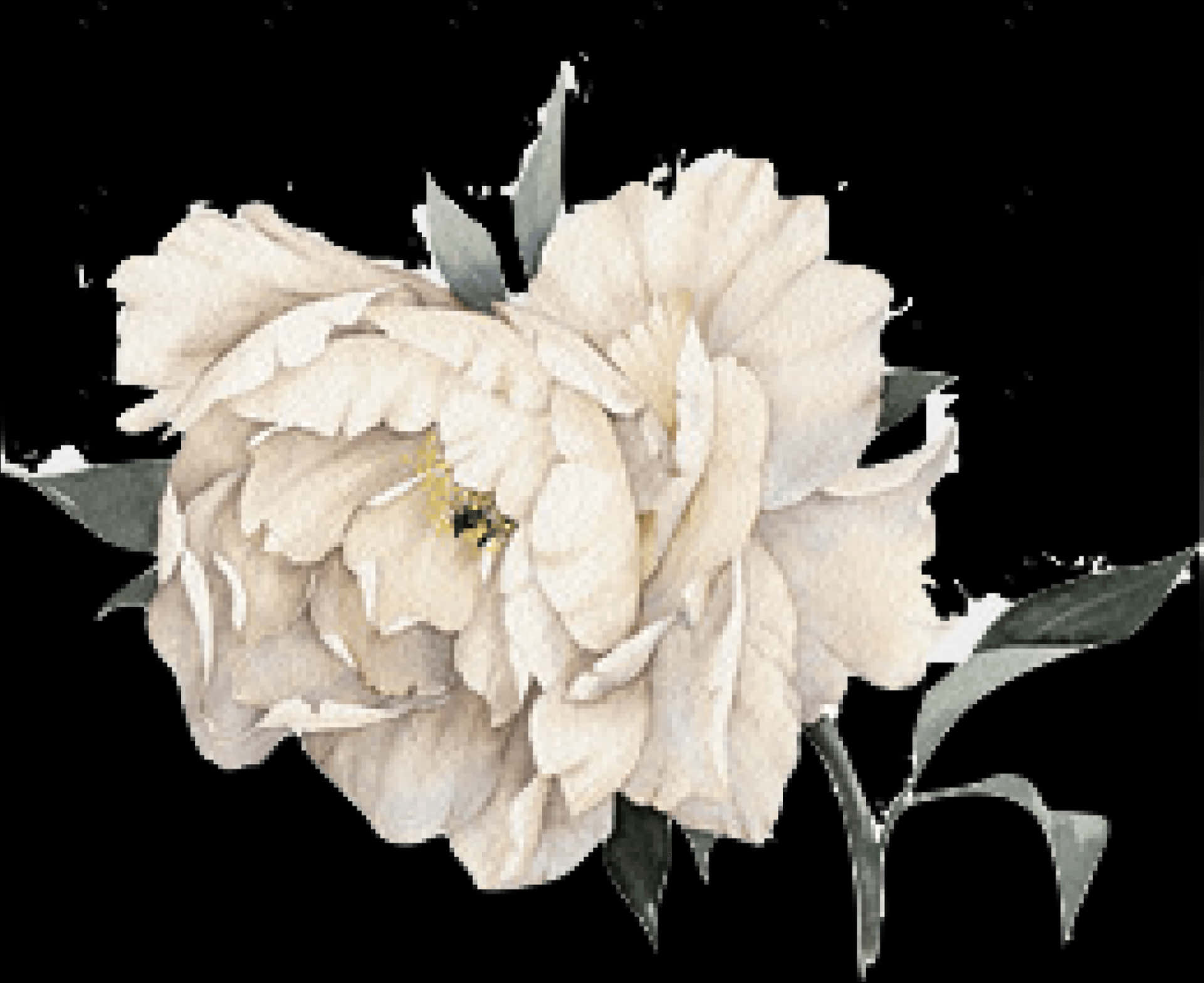 Cropped Peony - Transparent Watercolor White Flower, HD Png Download PNG with transparent background