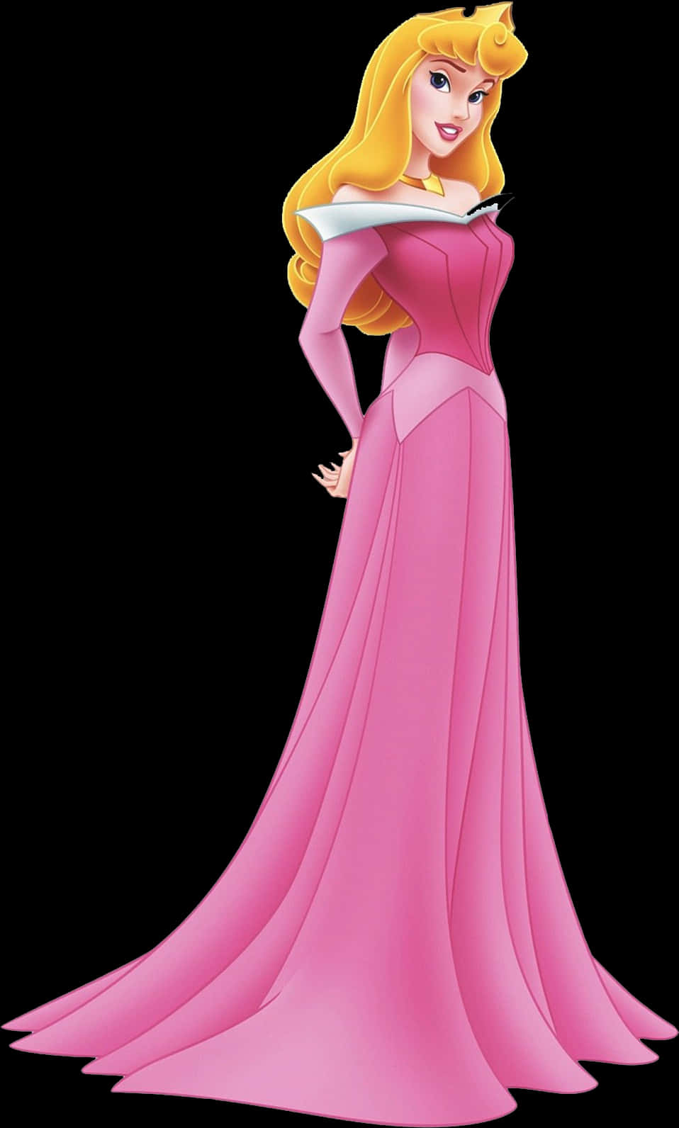 Elegant Pink Disney Princess