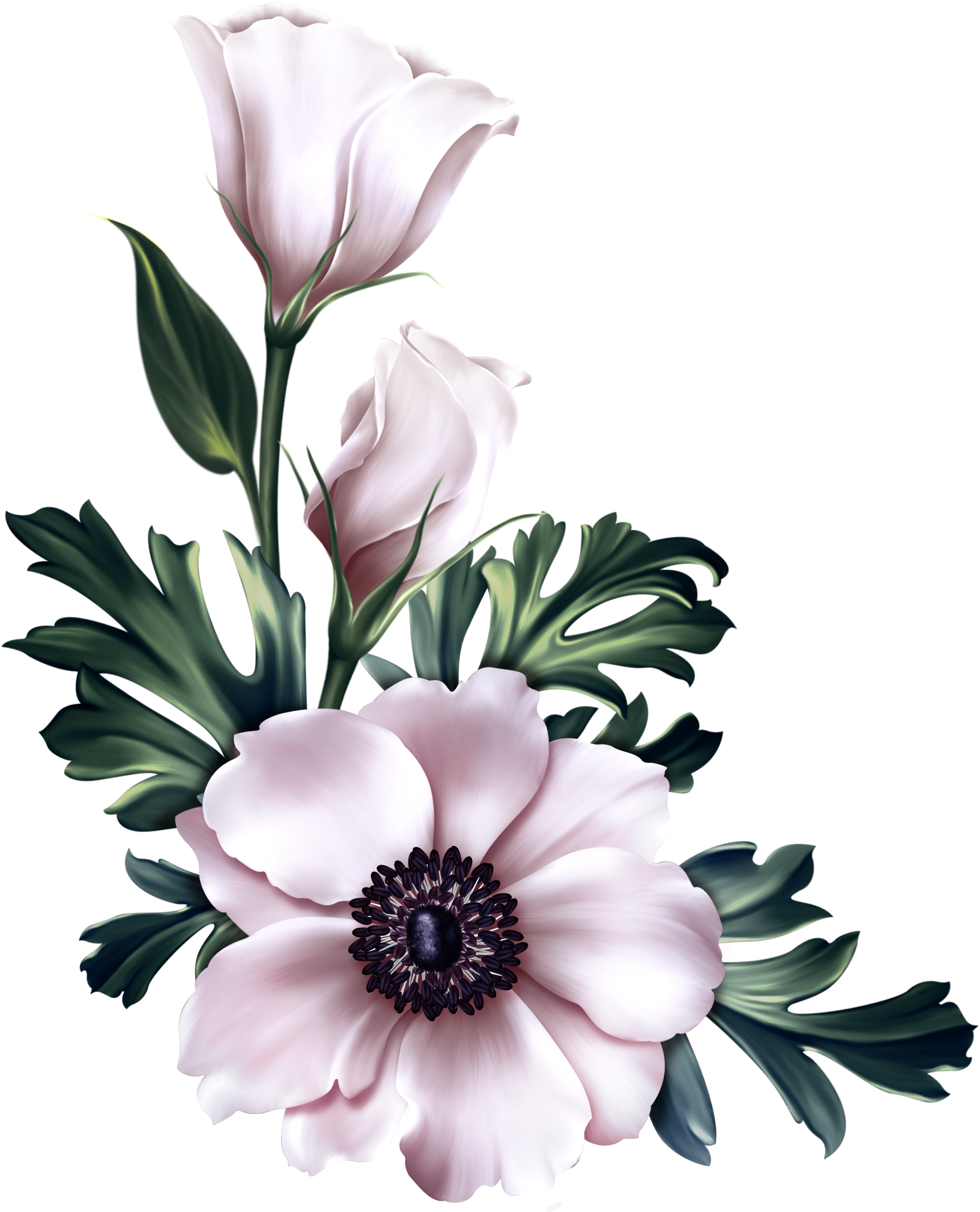 Elegant_ Pink_ Flowers_ Artwork.png