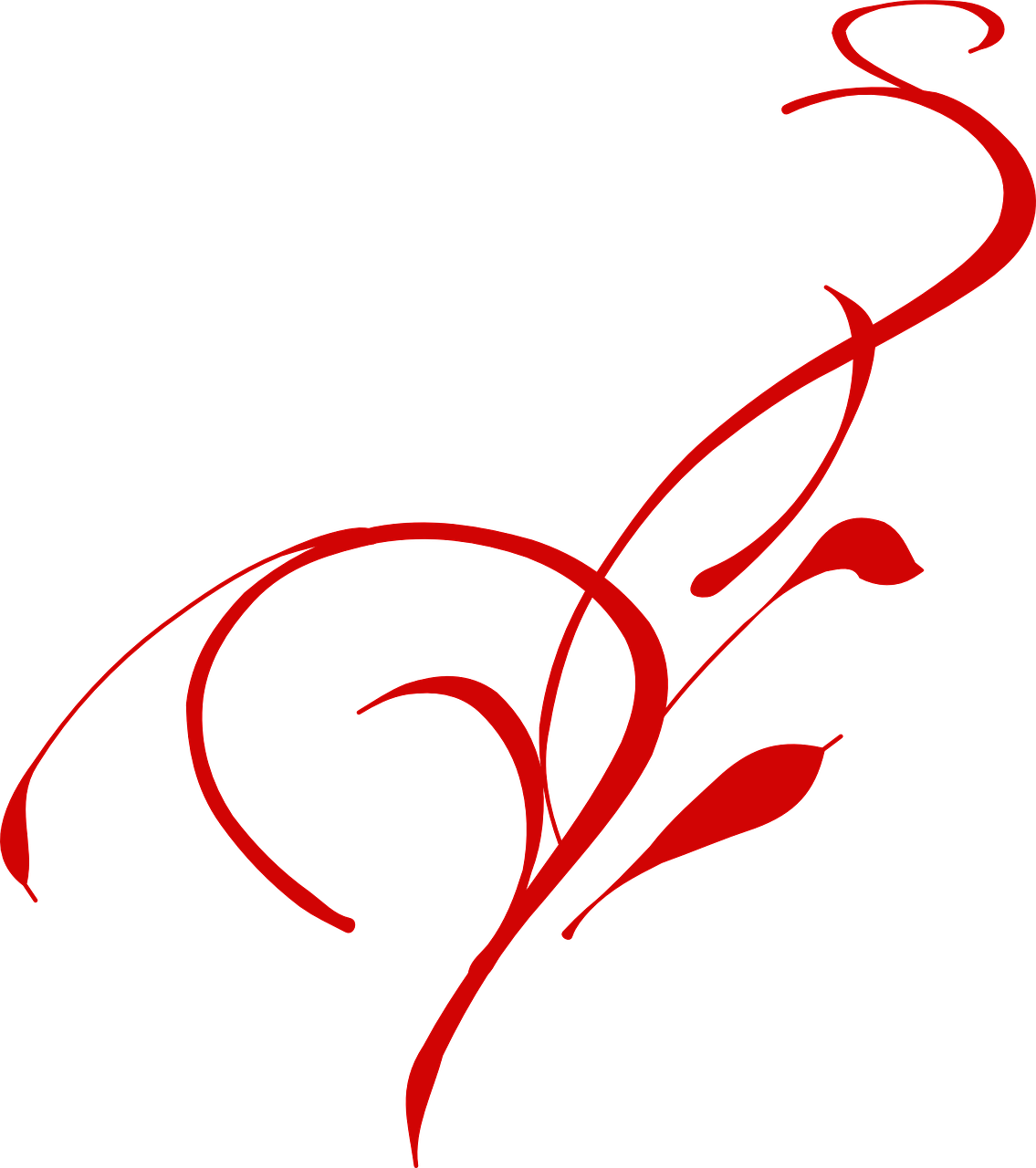 Vine Clip Art, HD Png Download PNG with transparent background