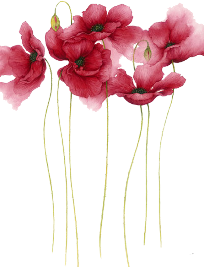 Elegant Red Poppies Artwork