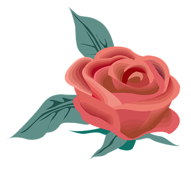 Elegant Red Rose Vector Art PNG with transparent background