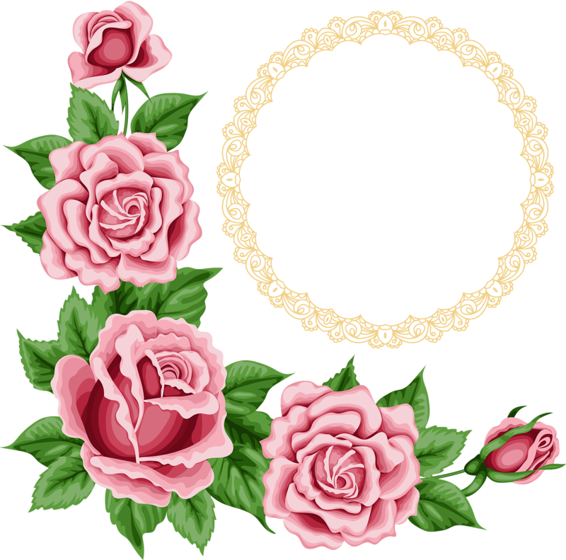 Elegant Rose Floral Frame