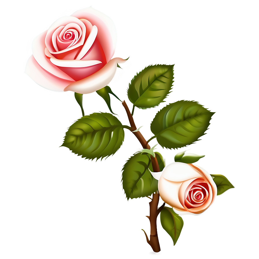 Elegant Rose Outline Png 05252024