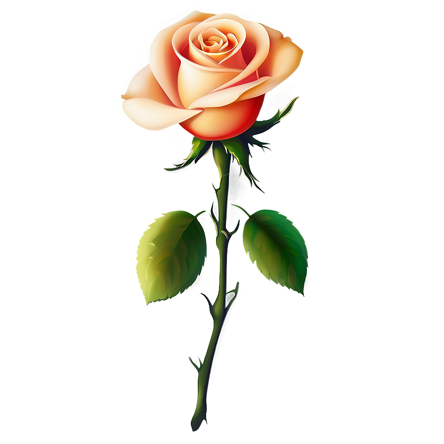 Elegant Rose Outline Png 8