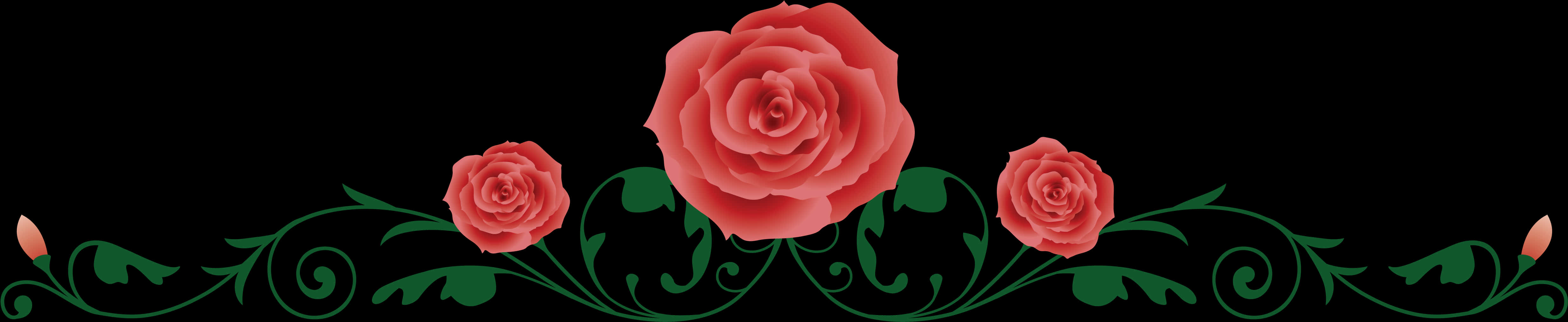 Elegant Rose Vine Border PNG image with a transparent background, free high-resolution download