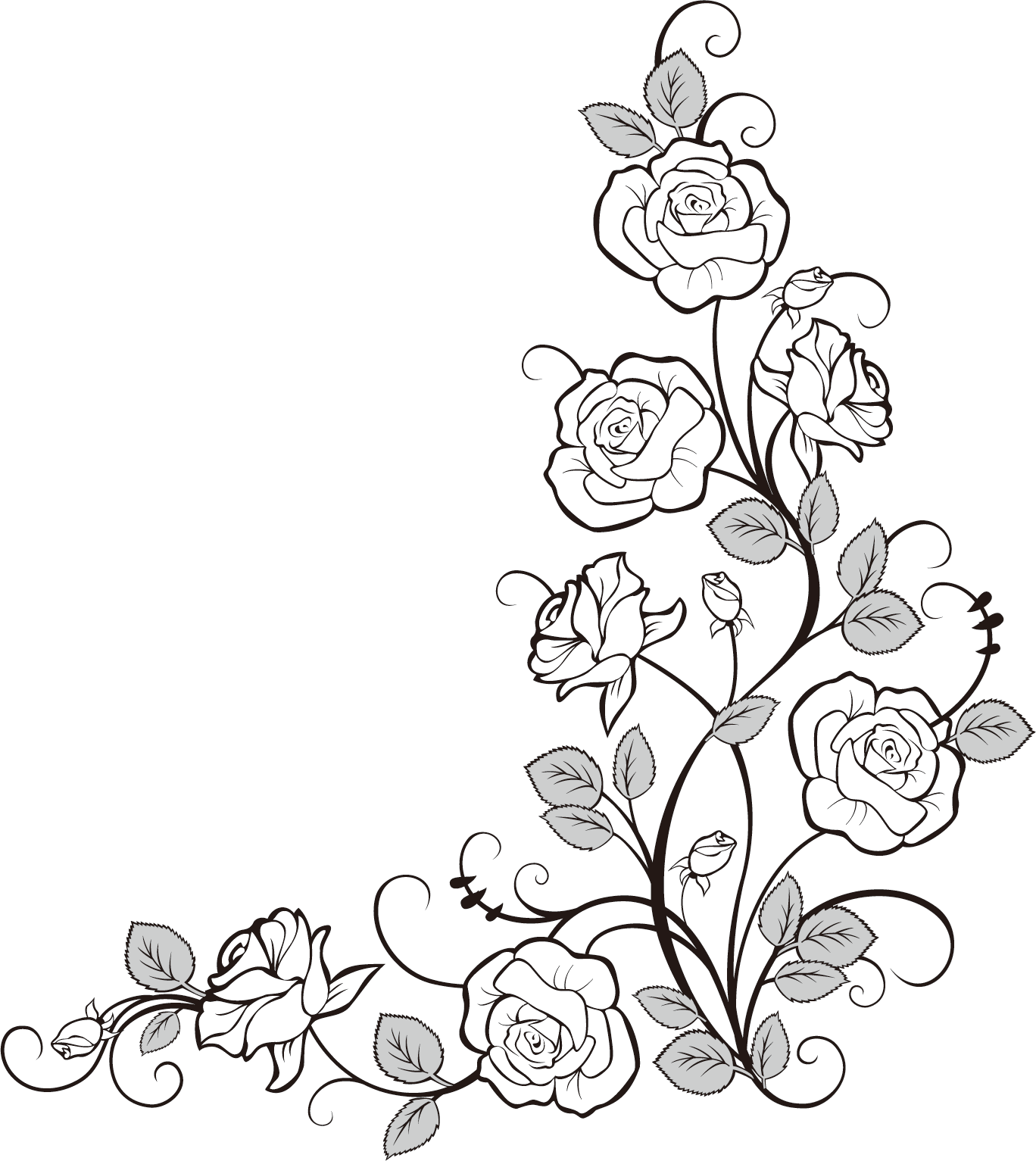 Elegant Rose Vine Drawing