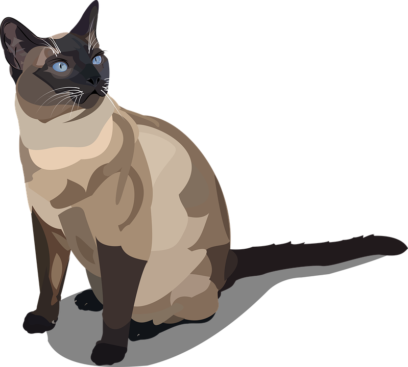 Elegant Siamese Cat Illustration