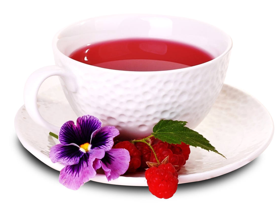 Elegant Tea Cup With Berries And Flower PNG image with a transparent background, free high-resolution download