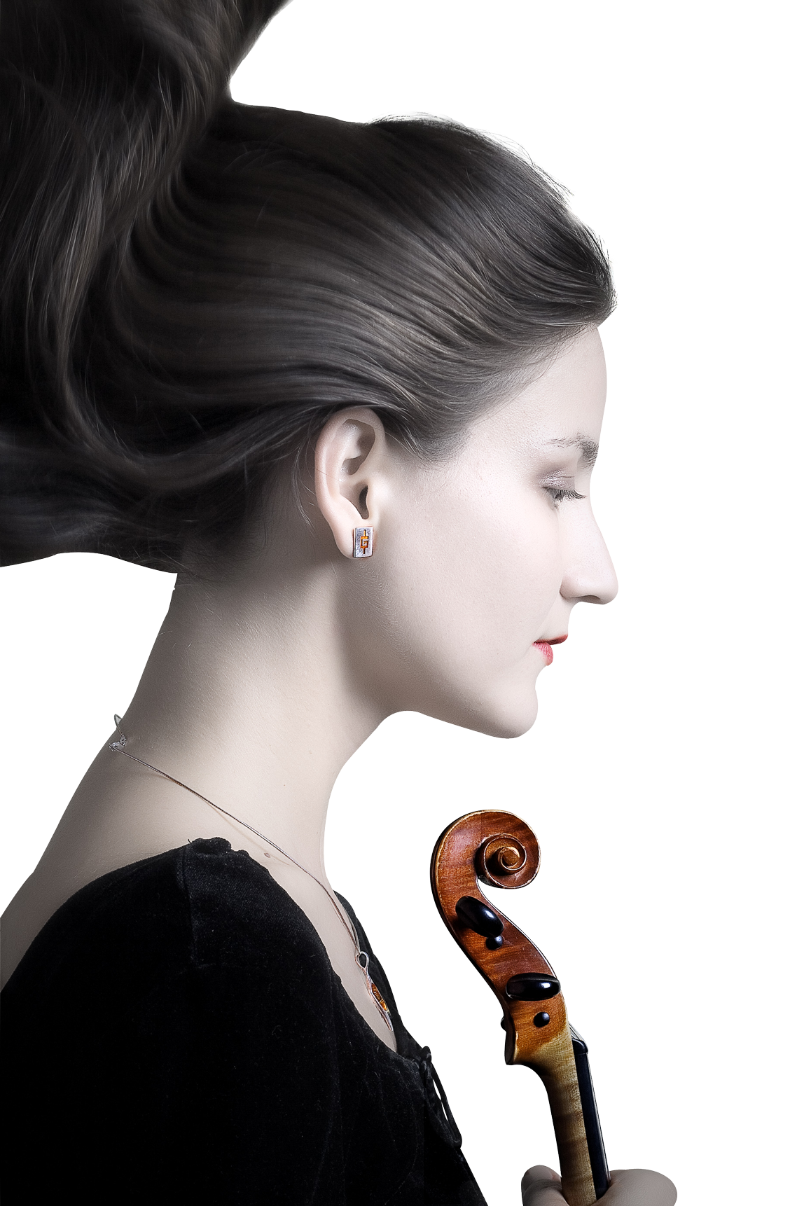 Elegant Violinist Profile