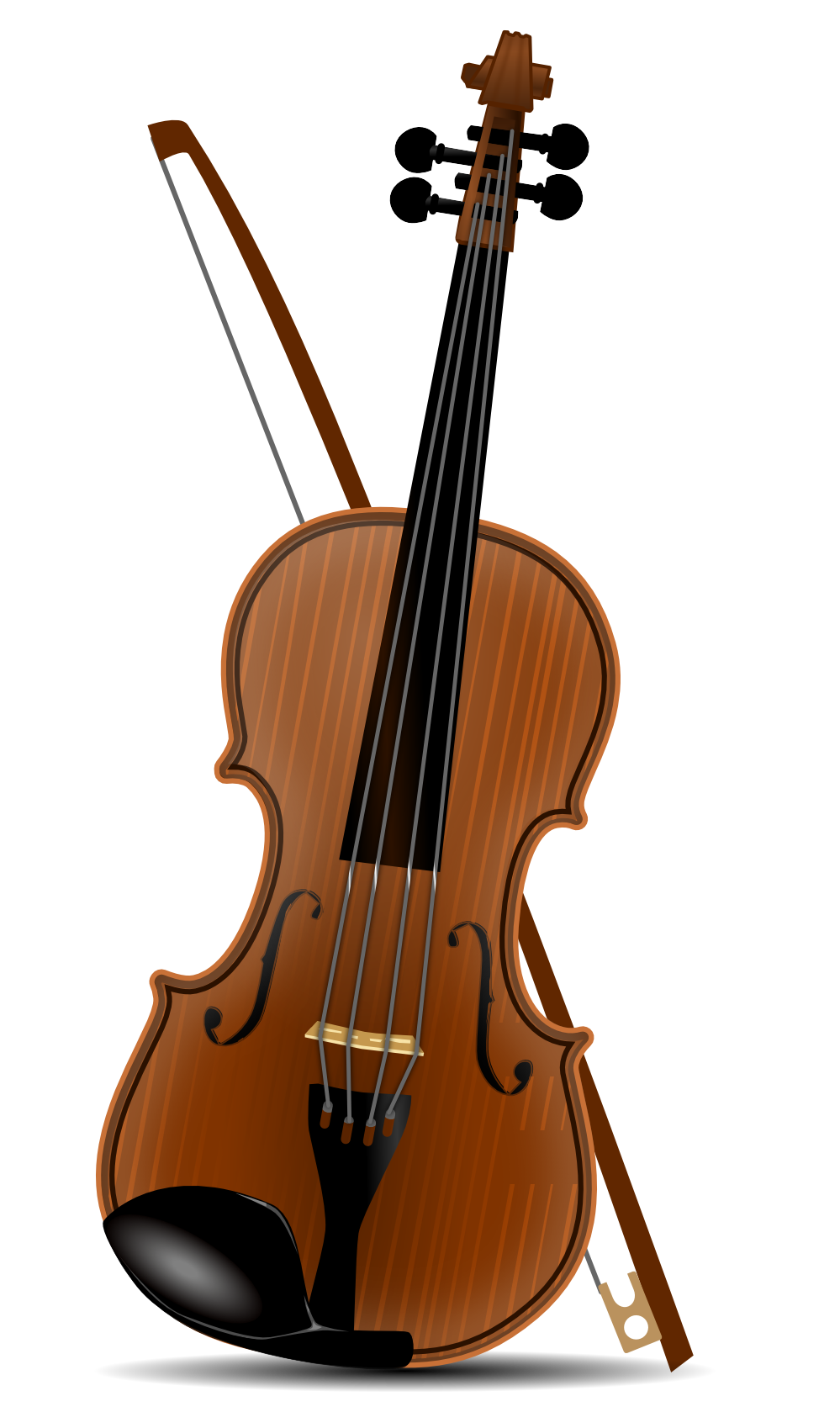 Elegant Violinon Black Background