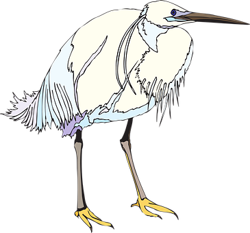 Elegant White Egret Illustration