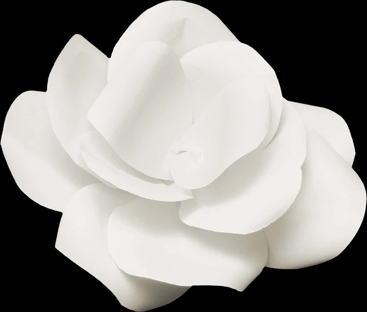 Elegant_ White_ Flower_ Black_ Background.jpg PNG with transparent background