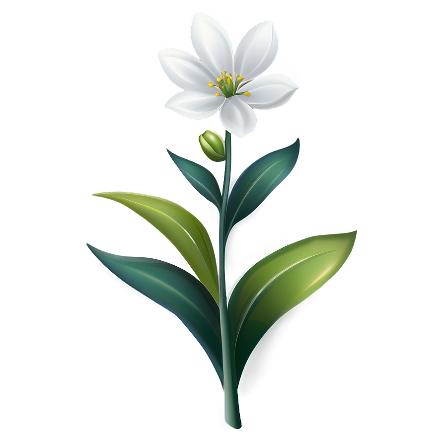 Elegant White Flower PNG 54 PNG with transparent background