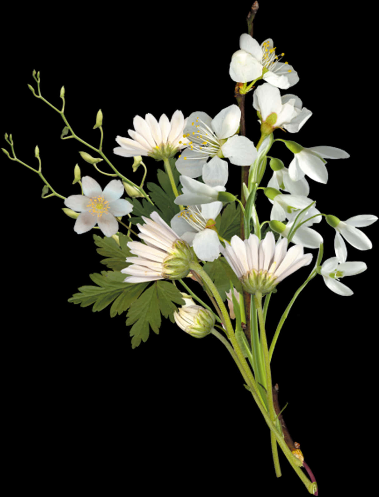 Elegant White Flowers Arrangement PNG with transparent background