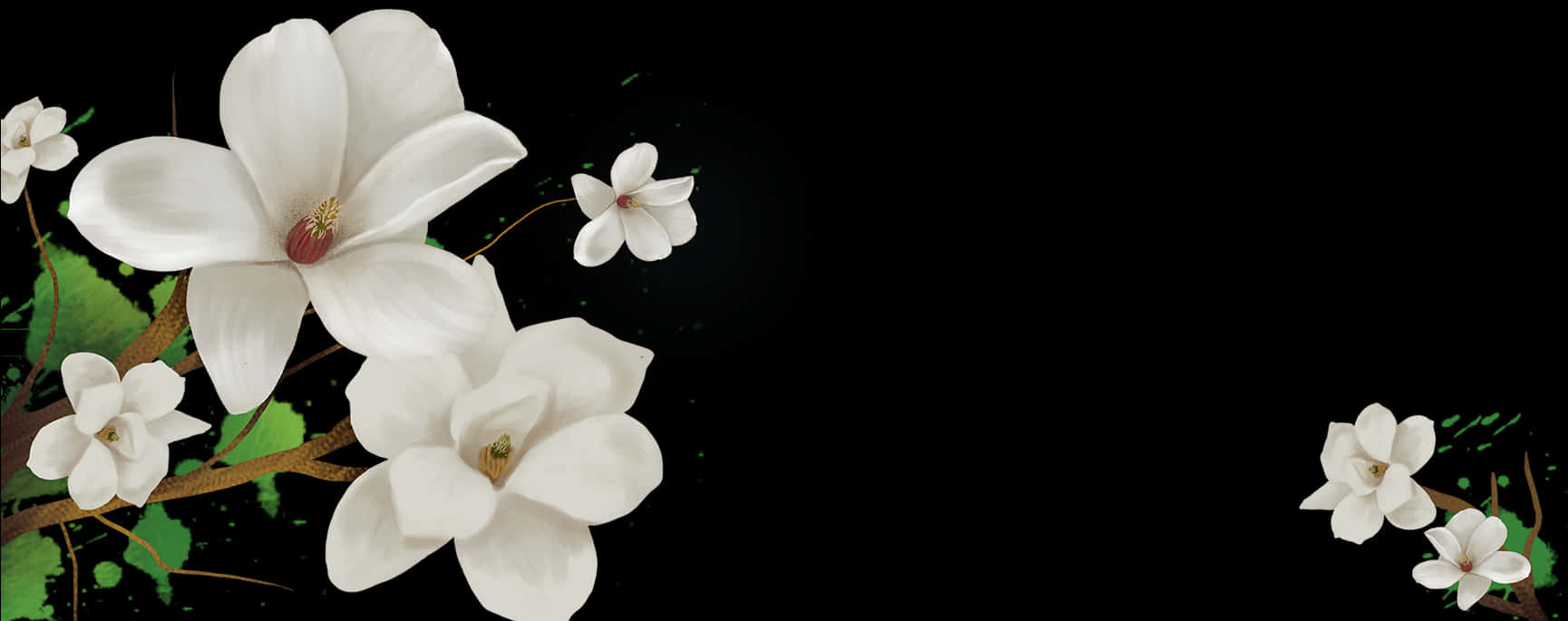 Elegant White Flowers Black Background